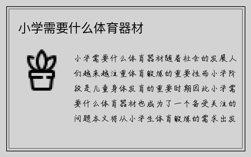 小学需要什么体育器材