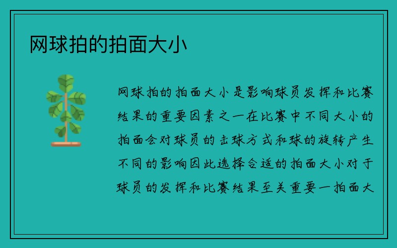 网球拍的拍面大小