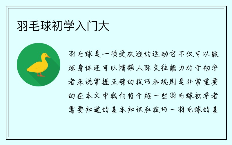 羽毛球初学入门大