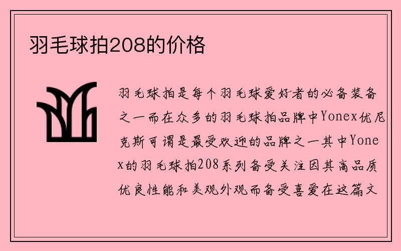 羽毛球拍208的价格