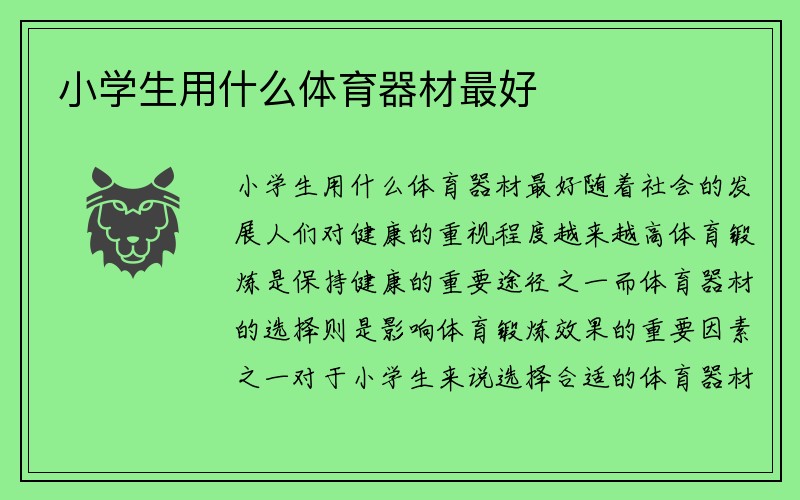 小学生用什么体育器材最好